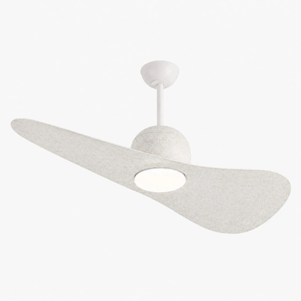 Deckenventilator mit hutähnlicher Leuchte und zwei Flügeln, integrierter LED-Diffusor