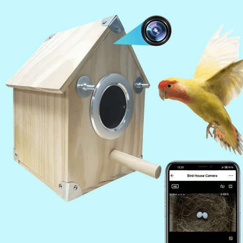 AvianVue Bird Nest Cam Feeder Box — 4MP Night Vision Camera - Desfino