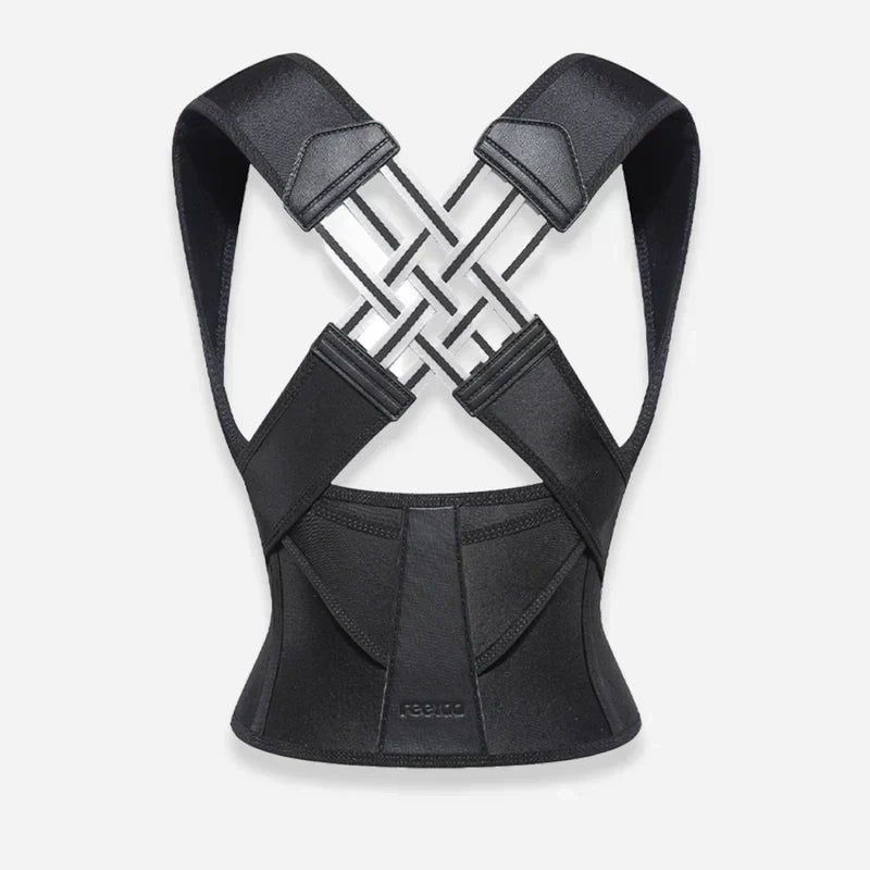 Ascenta Posture Support — 2-in-1 Waist Cincher and Spinal Aligner