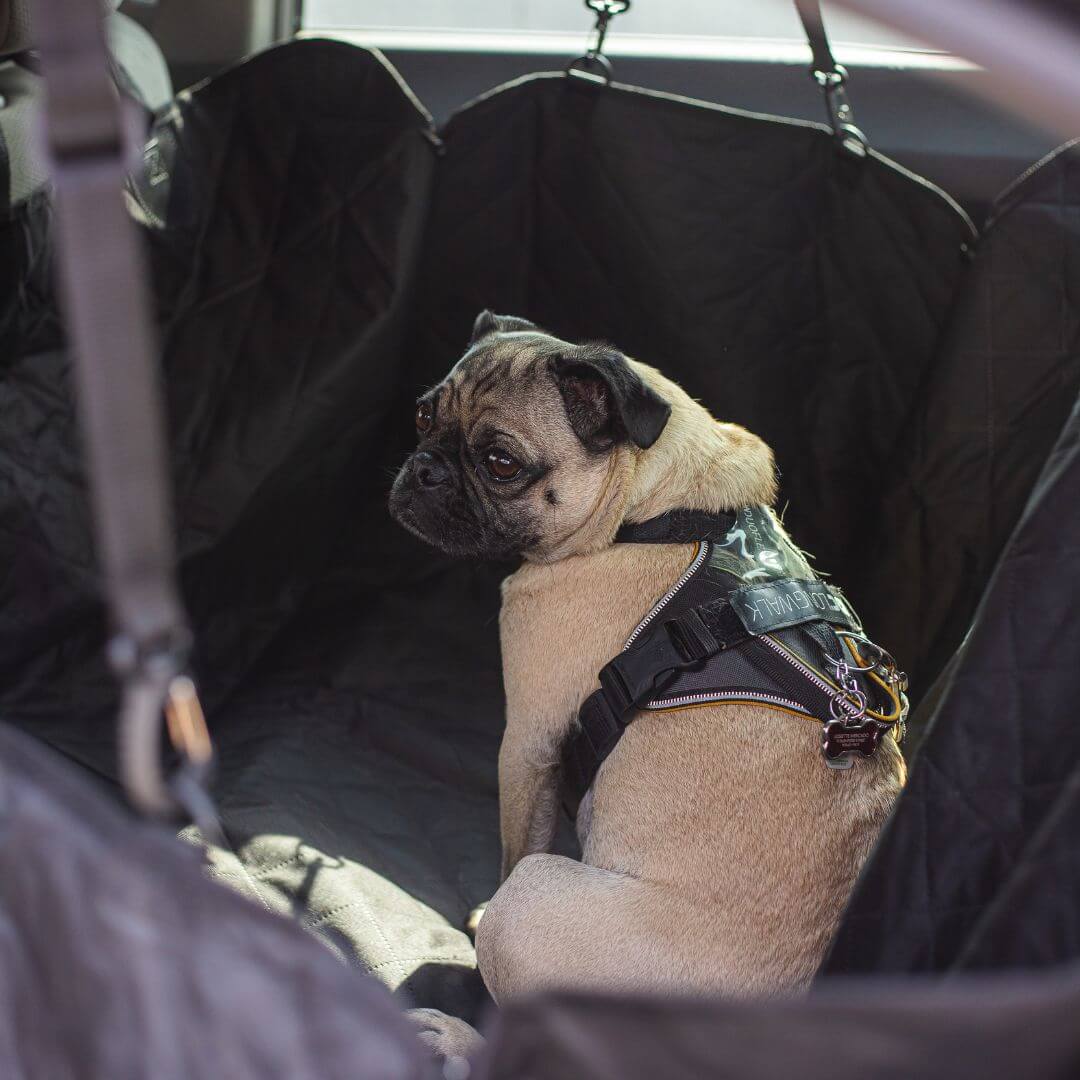Copertura protettiva per seggiolino auto per cani CozyPaws Shield — Protezione dalle zampe sporche - Desfino