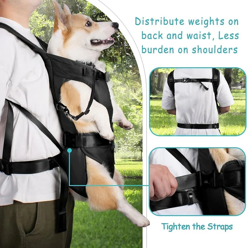 LumaTrail Rucsac frontal pentru transportul câinilor — mic/mediu, sub 35 lbs - Desfino