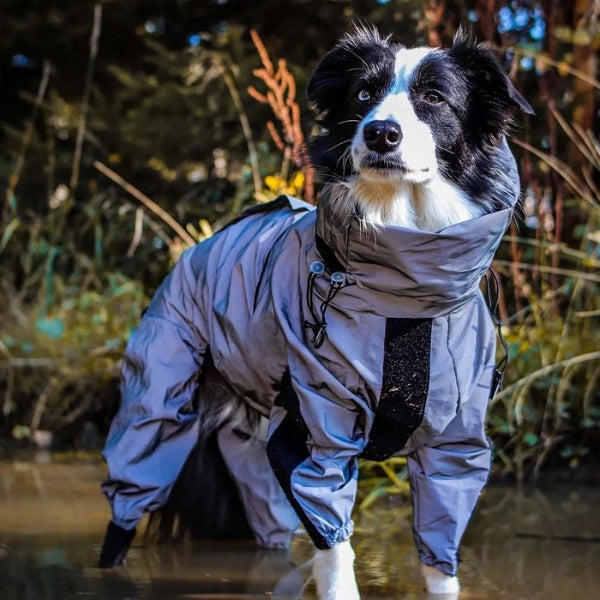 BarkDry Waterproof Dog Raincoat — Reflective Full-Leg Design