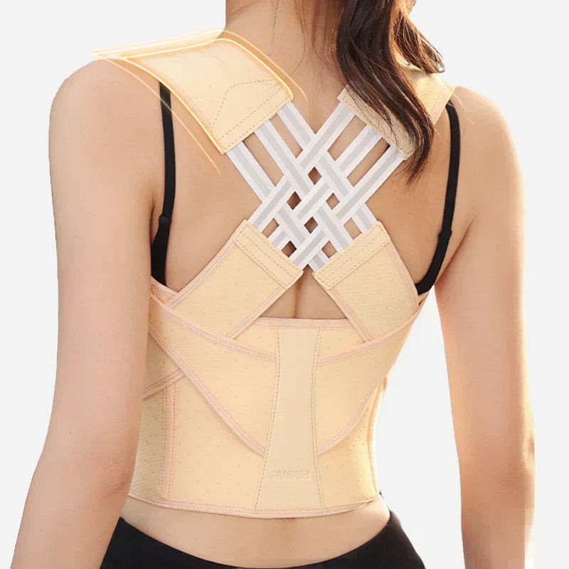 Ascenta Posture Support — 2-in-1 Waist Cincher and Spinal Aligner