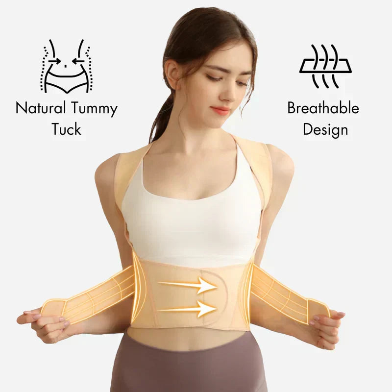 Ascenta Posture Support — 2-in-1 Waist Cincher and Spinal Aligner