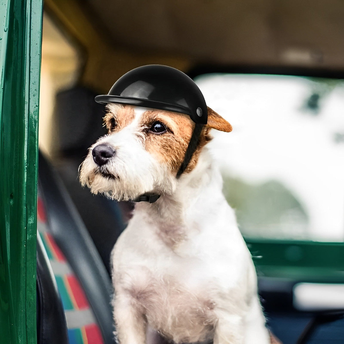 TrailPup motorsykkelhjelm for hund og matchende briller - Desfino