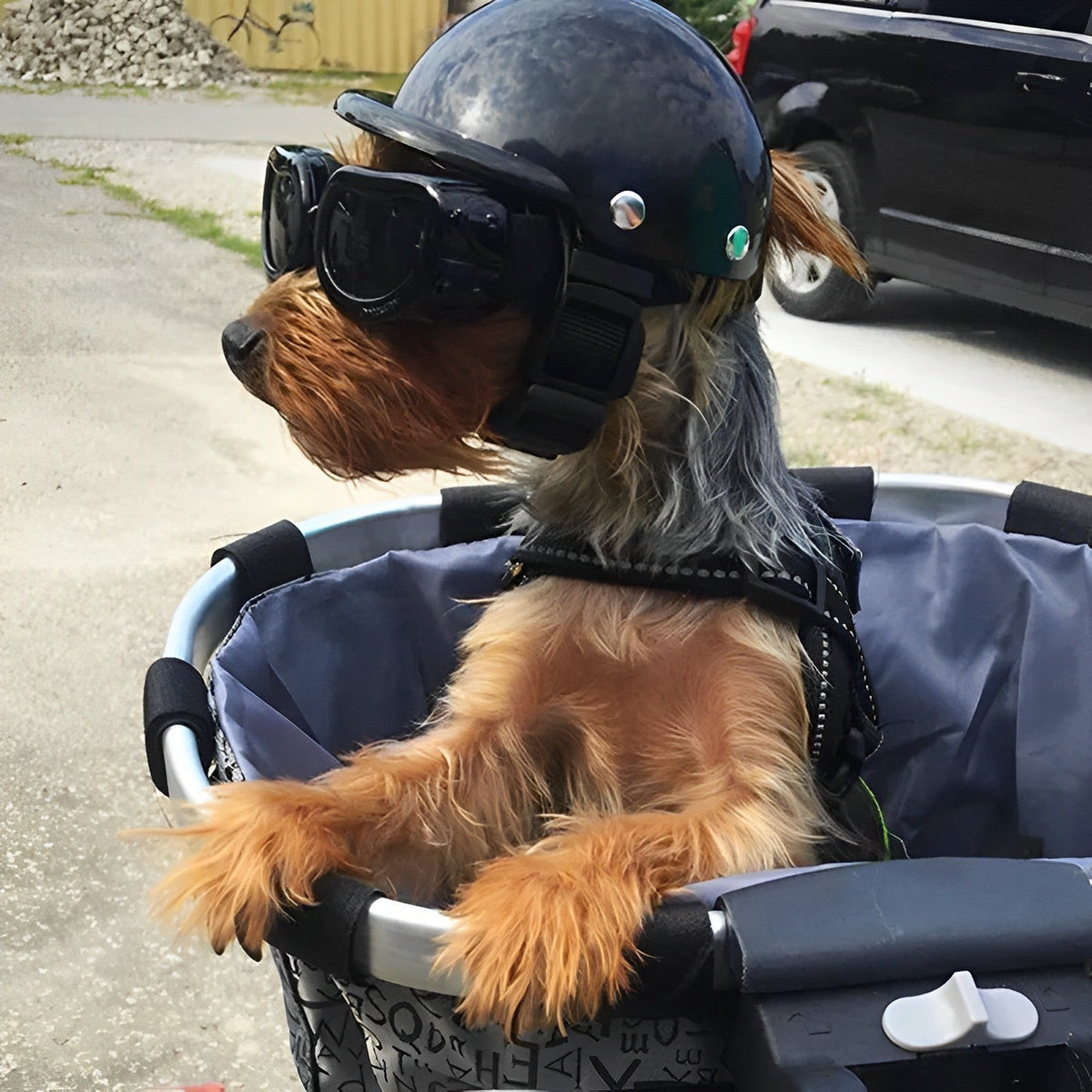 TrailPup motorsykkelhjelm for hund og matchende briller - Desfino