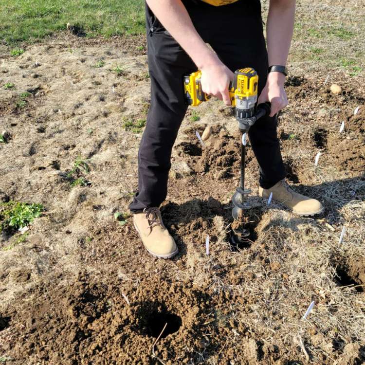 Mèche de tarière de jardin TerraPro de 3 pouces pour bulbes — Usage intensif - Desfino