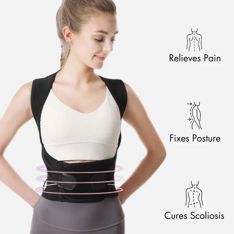 Ascenta Posture Support — 2-in-1 Waist Cincher and Spinal Aligner
