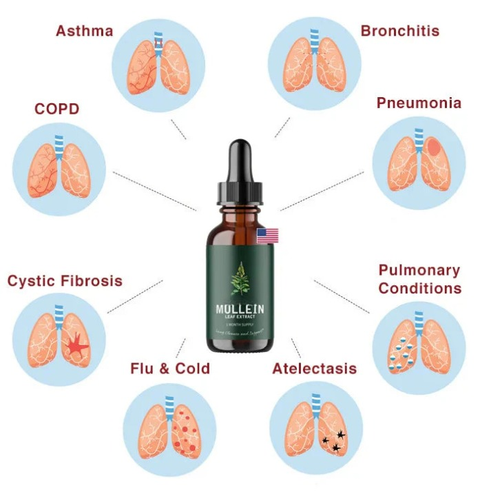 Mullein Leaf Extract & Chlorophyll — Two-Drop Lung Support Formula - Desfino