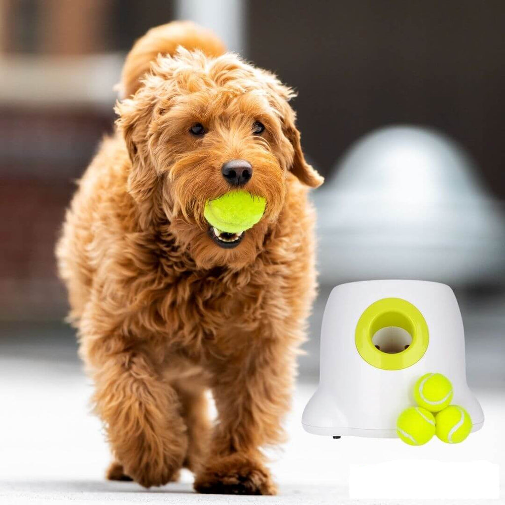 AuroraPup Fetch Master Automatischer Ballwerfer für Hunde - Desfino