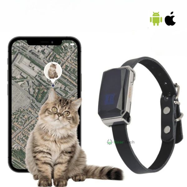 Collare localizzatore GPS impermeabile per animali domestici — posizione in tempo reale, senza costi mensili - Desfino