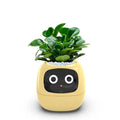 NexaGrow smart plantekrukke — 7 sensorer, AI-styret plantepleje - Desfino