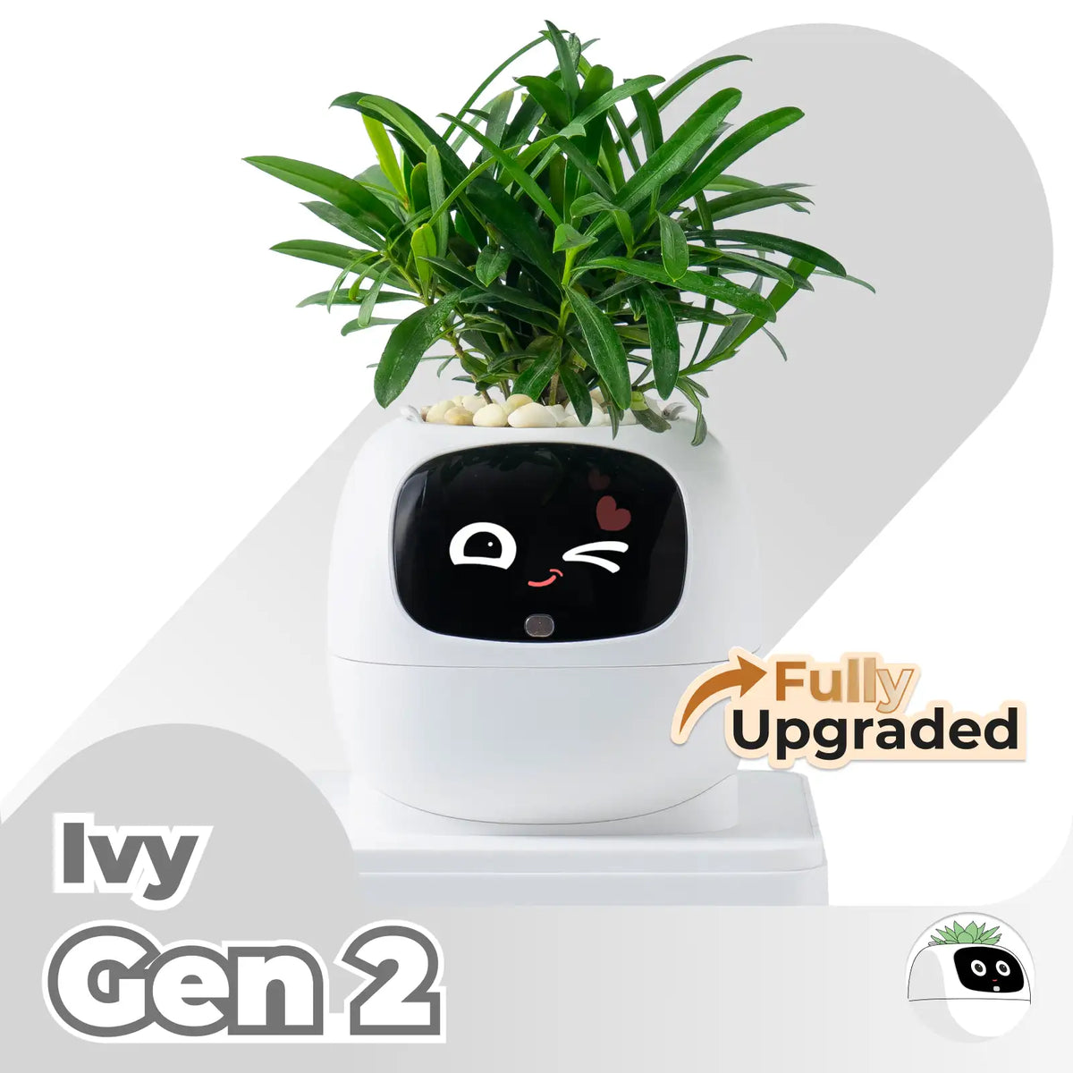Ivy Gen 2 slim plantenh overloaddier voor op het bureau — meer dan 70 geanimeerde uitdrukkingen - Desfino