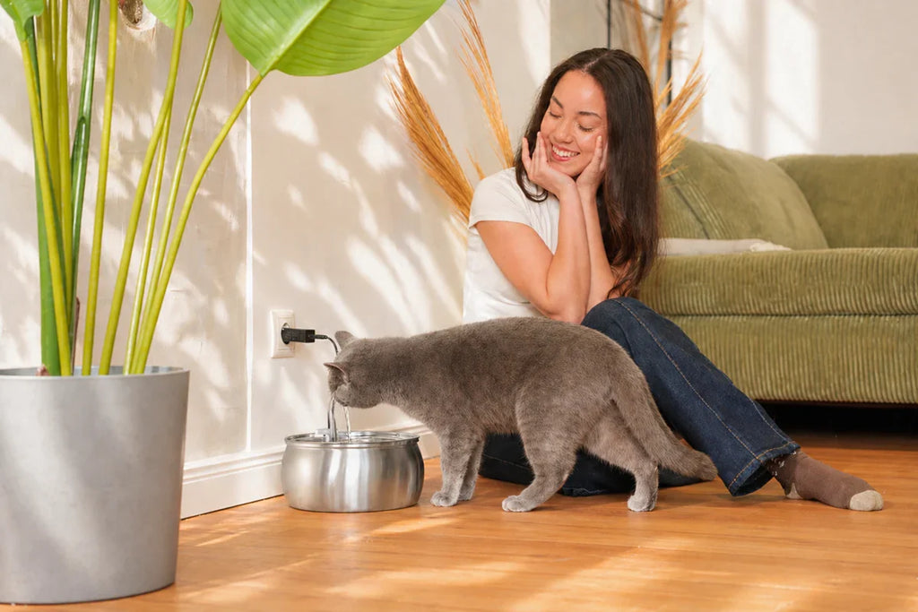 4L Stainless Steel Cat Water Fountain — Quiet Pump, Multi-Stage Filtration
