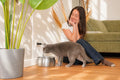 4L Stainless Steel Cat Water Fountain — Quiet Pump, Multi-Stage Filtration