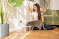 Trinkbrunnen für Katzen aus Edelstahl — Kompaktes 2,2-L-Design, leise Pumpe