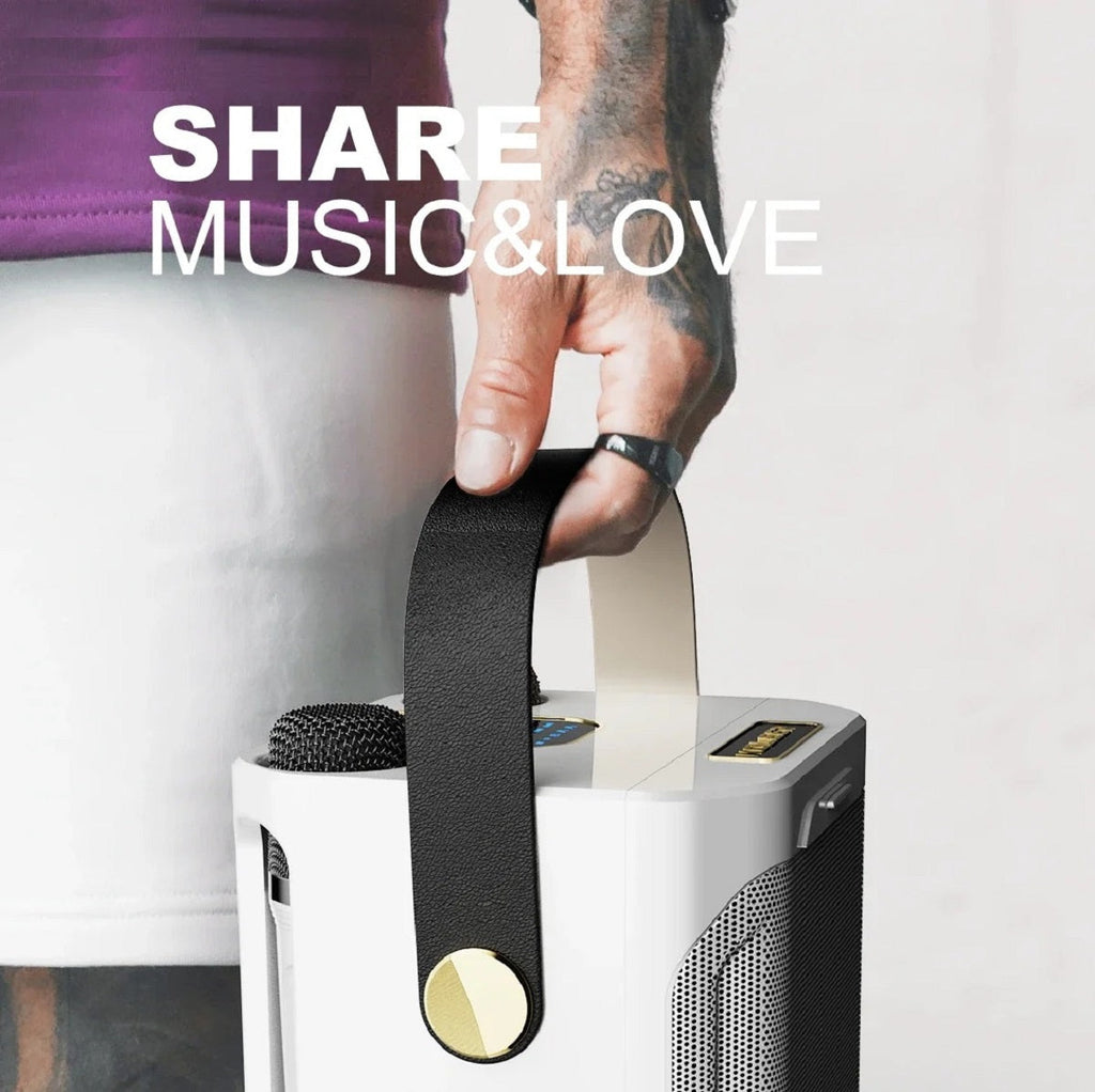 Tragbarer wiederaufladbarer Bluetooth-Karaoke-Lautsprecher — 100W, zwei Mikrofone - Desfino