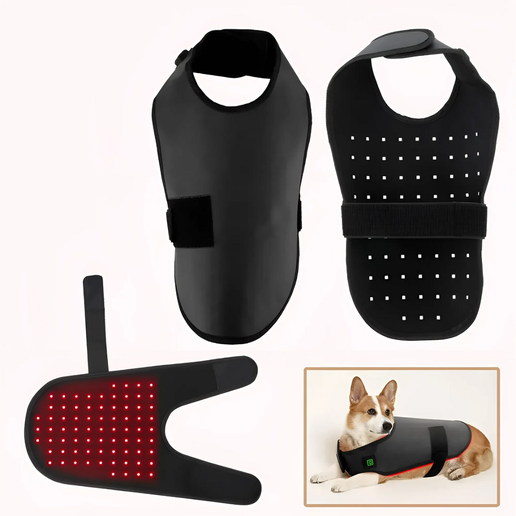 Adjustable Red & Near-Infrared Light Therapy Belt for Dogs & Cats - Desfino