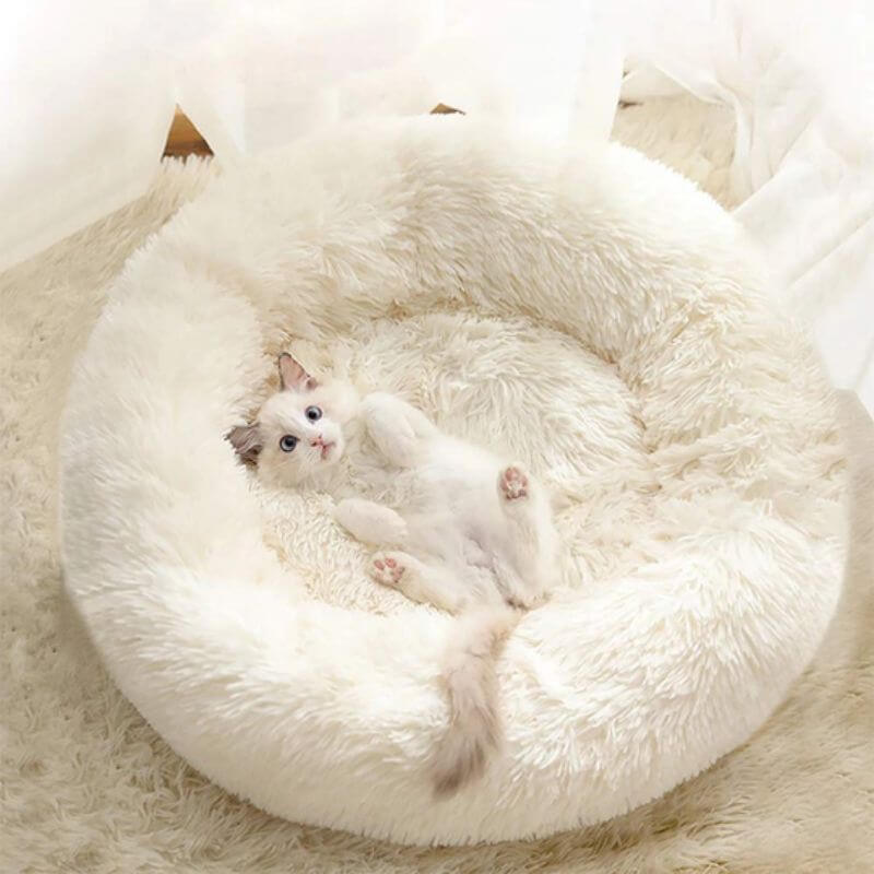 CalmPaws-avslappende katteseng — koselig komfort, privat tilfluktssted - Desfino