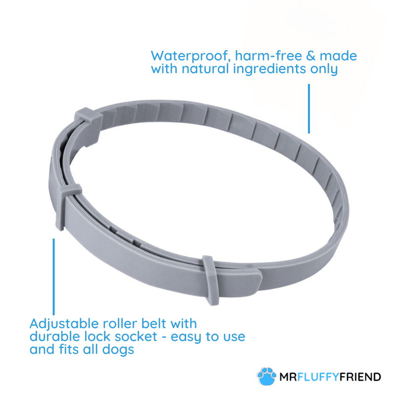Collar para perros PawSafeGuard - Prevención impermeable contra pulgas y garrapatas, 8 meses - Desfino