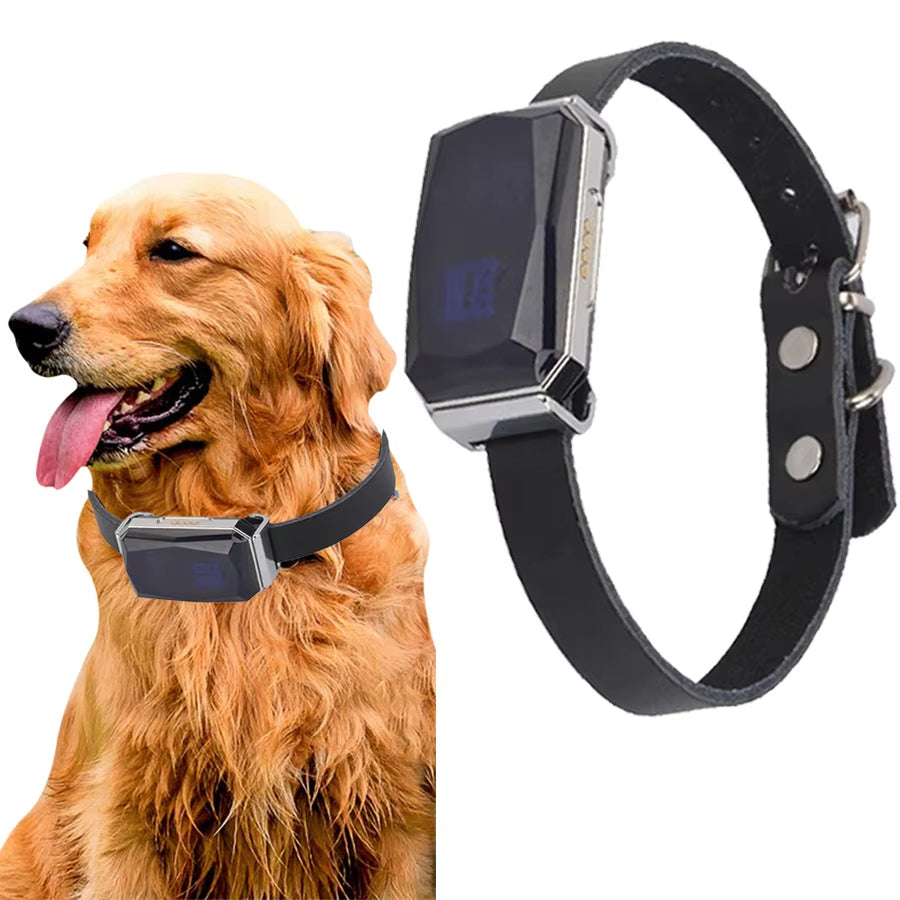 GPS lokátor PawQuest pro domácí mazlíčky — snadné nastavení, pro všechna plemena - Desfino