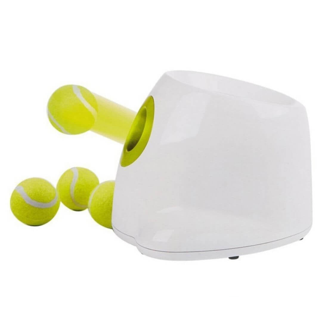 AuroraPup Fetch Master Automatischer Ballwerfer für Hunde - Desfino