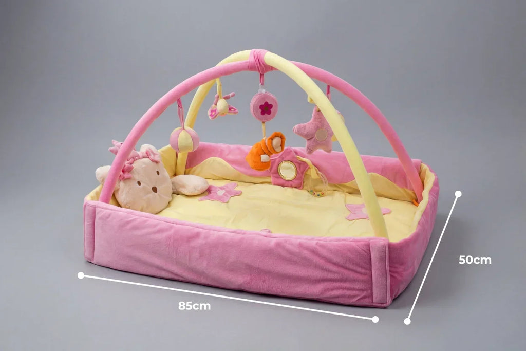 2-in-1 Rectangular Baby Play Mat — Sensory Arch Activity Gym