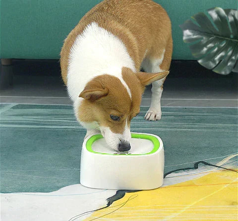 PawPure afgedekte drinkbak voor huisdieren — dubbele rand tegen morsen - Desfino
