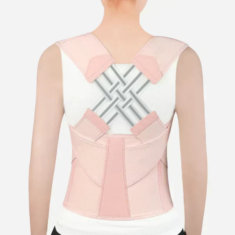 Ascenta Posture Support — 2-in-1 Waist Cincher and Spinal Aligner