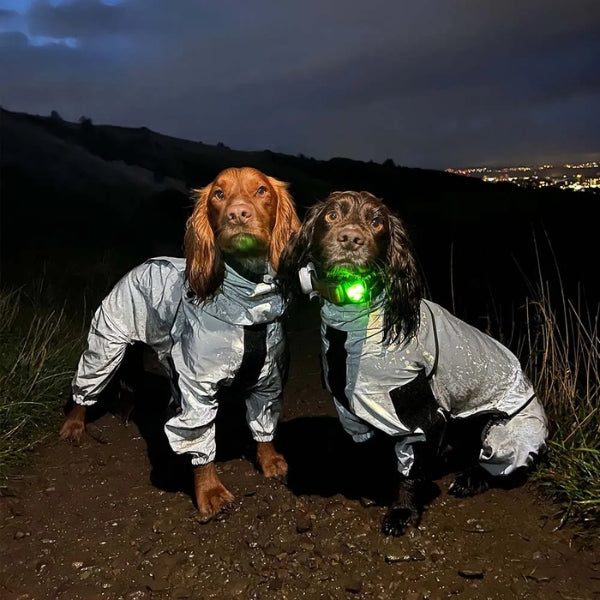 BarkDry Waterproof Dog Raincoat — Reflective Full-Leg Design