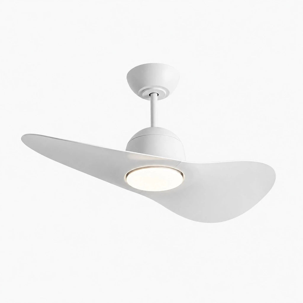 Deckenventilator mit hutähnlicher Leuchte und zwei Flügeln, integrierter LED-Diffusor