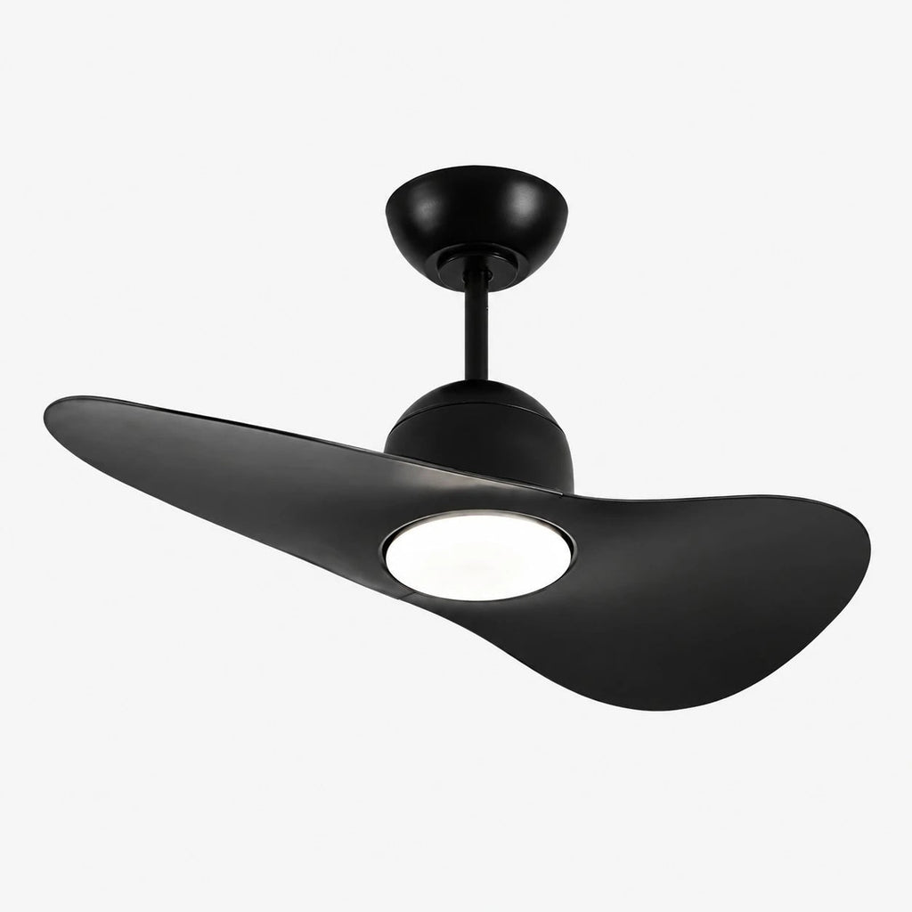 Deckenventilator mit hutähnlicher Leuchte und zwei Flügeln, integrierter LED-Diffusor