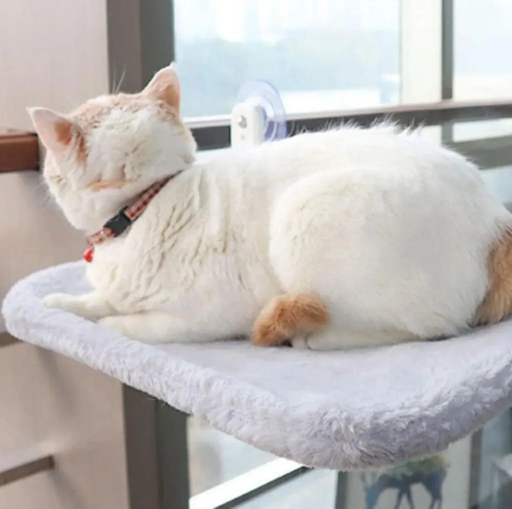 LunaPerch hamac pour chat — étagère lounge pour bains de soleil à 360° - Desfino