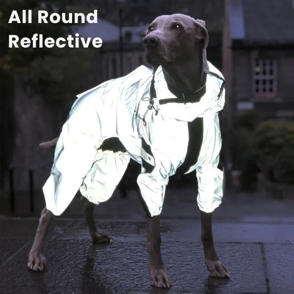 Capa impermeável e refletora para chuva BarkDry — Ajuste UK de perna inteira - Desfino