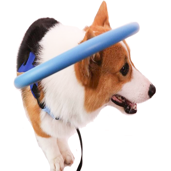 WandaPaws 盲導犬用ガイドバンパー首輪 - ハーネス対応 - Desfino