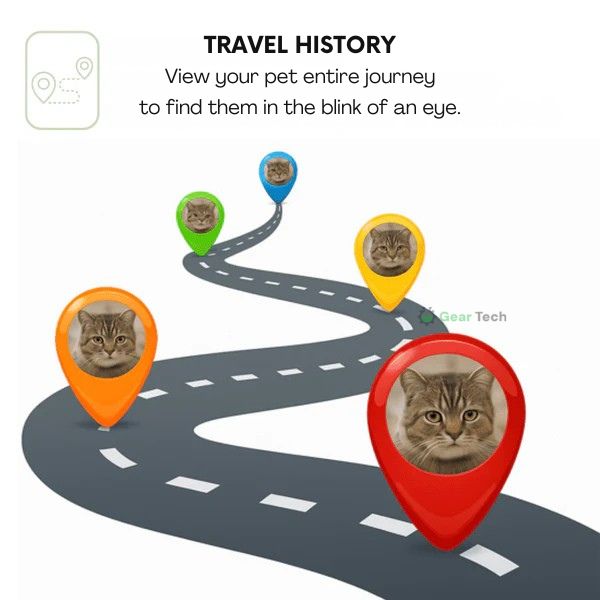Collare localizzatore GPS impermeabile per animali domestici — posizione in tempo reale, senza costi mensili - Desfino