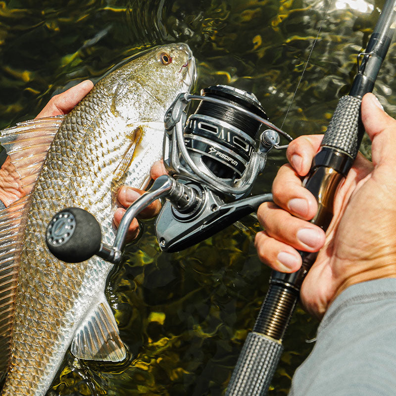 Piscifun NautiX Saltwater Spinning Reel — Aluminum Body & Carbon Rotor | Desfino