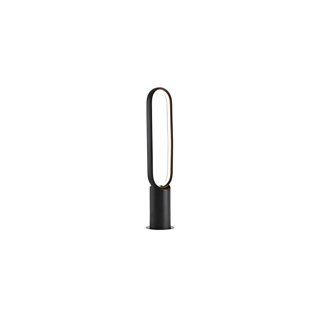 Outdoor Black Oval LED Lawn Light | Desfino
