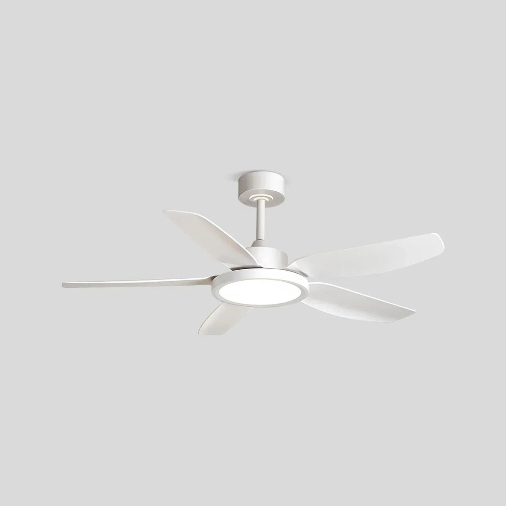 Modern White Ceiling Fans with Lights and Remote | Desfino