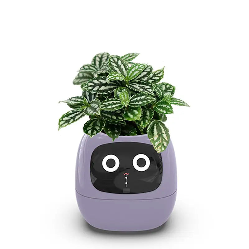 NexaGrow smart plantekrukke — 7 sensorer, AI-styret plantepleje - Desfino