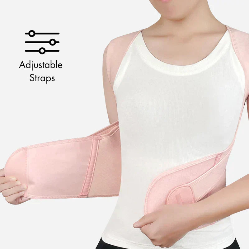 Ascenta Posture Support — 2-in-1 Waist Cincher and Spinal Aligner