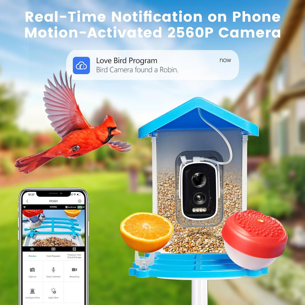 Comedero para pájaros con cámara solar SolaraCam — Monitor de fauna diurna y nocturna - Desfino