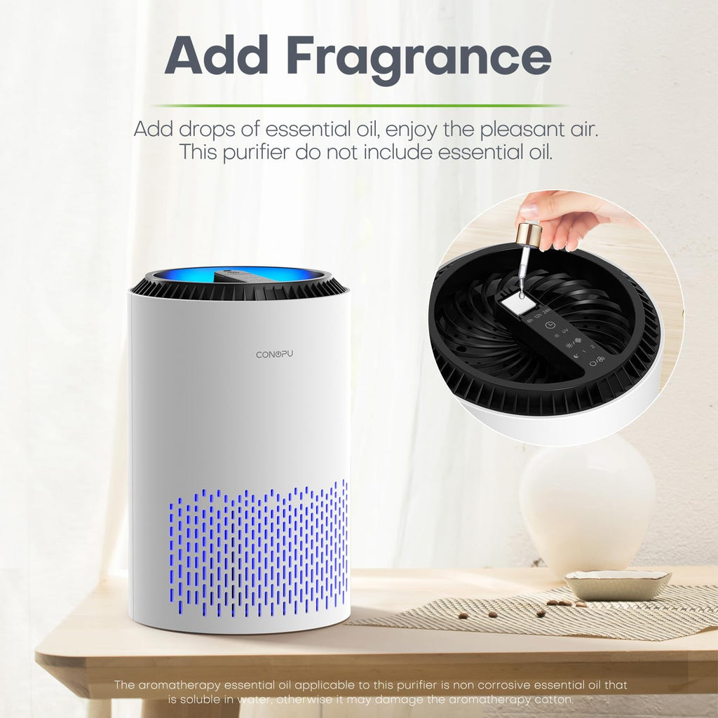 True HEPA Air Purifier — Compact, Ultra-Quiet Small Room Cleaner - Desfino