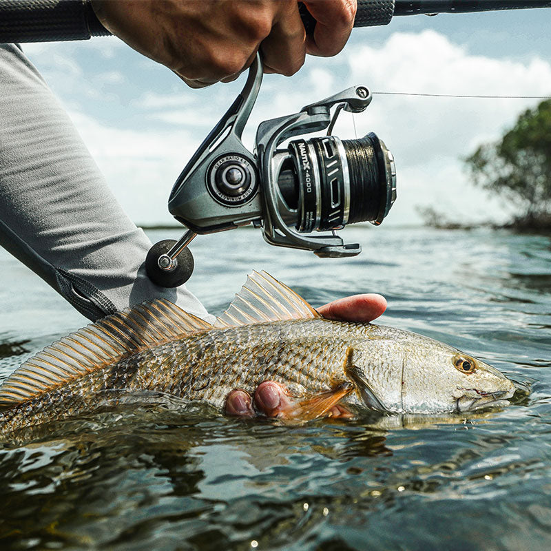 Piscifun NautiX Saltwater Spinning Reel — Aluminum Body & Carbon Rotor | Desfino