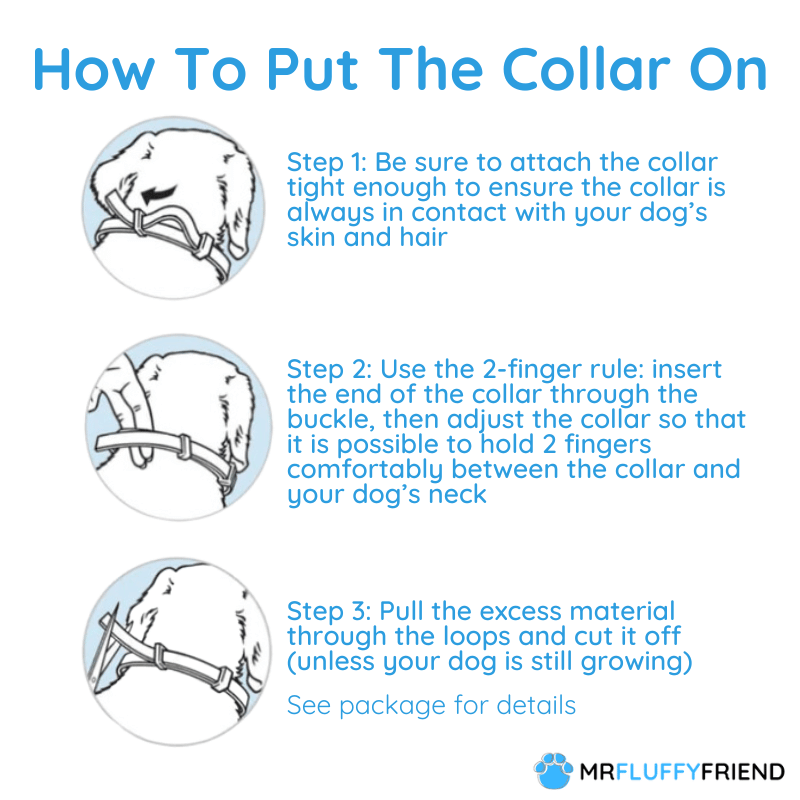 Collar para perros PawSafeGuard - Prevención impermeable contra pulgas y garrapatas, 8 meses - Desfino