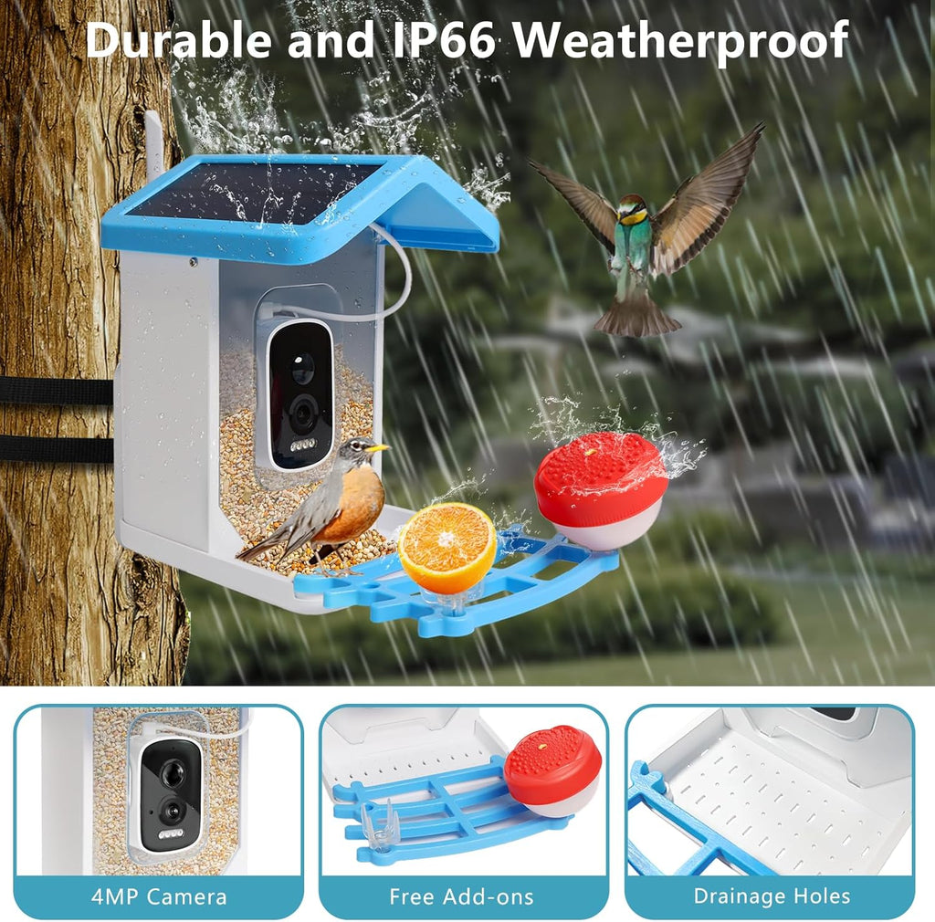 Comedero para pájaros con cámara solar SolaraCam — Monitor de fauna diurna y nocturna - Desfino