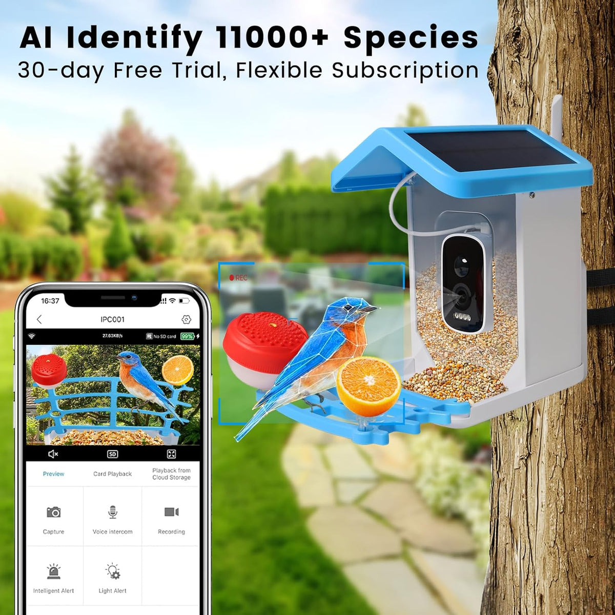 Comedero para pájaros con cámara solar SolaraCam — Monitor de fauna diurna y nocturna - Desfino
