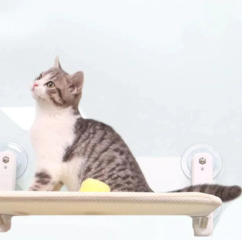 LunaPerch hamac pour chat — étagère lounge pour bains de soleil à 360° - Desfino