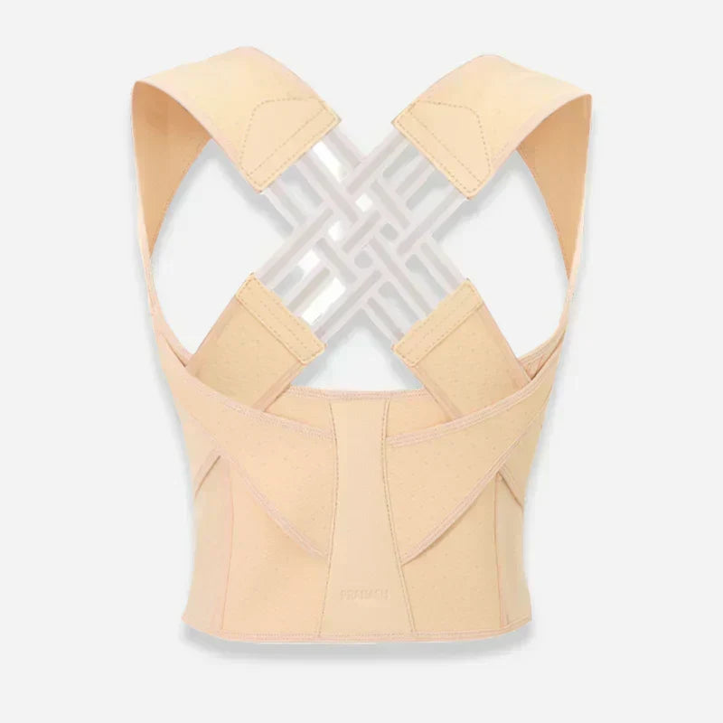Ascenta Posture Support — 2-in-1 Waist Cincher and Spinal Aligner