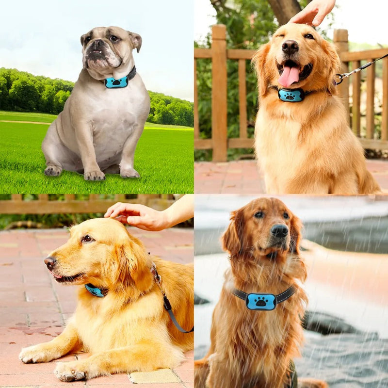 CanineCalm anti-blafhalsband voor honden met geluidsgolven, zonder schokken | Desfino